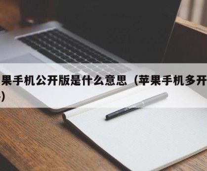 苹果手机公开版是什么意思（苹果手机多开软件）