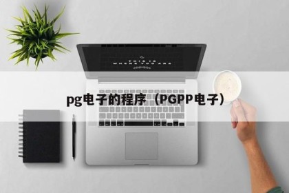 pg电子的程序（PGPP电子）