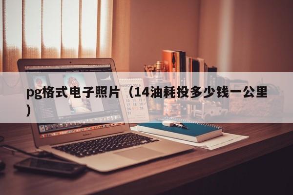 pg格式电子照片(14油耗投多少钱一公里)