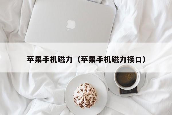 苹果手机磁力(苹果手机磁力接口)