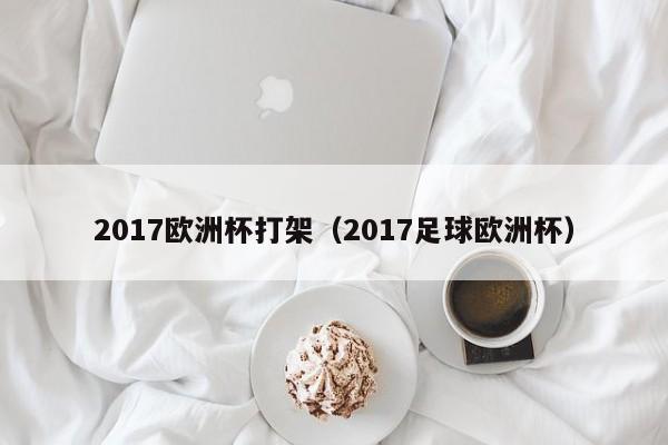 2017欧洲杯打架（2017足球欧洲杯）