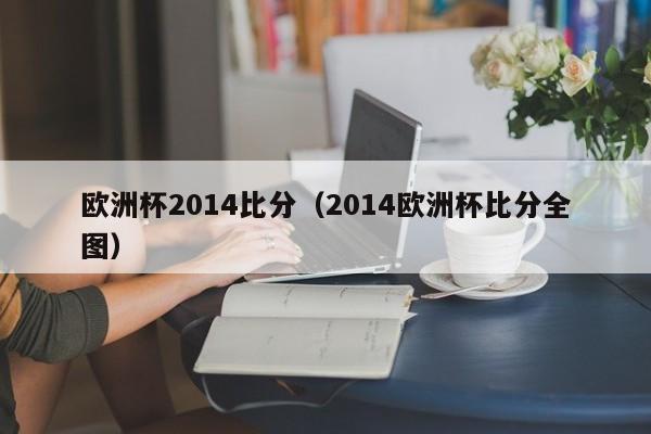 欧洲杯2014比分（2014欧洲杯比分全图）