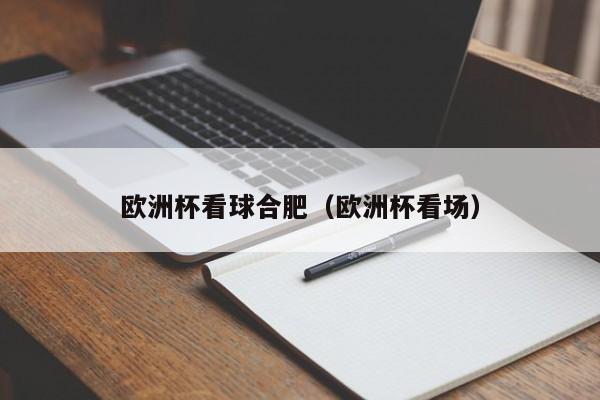 欧洲杯看球合肥（欧洲杯看场）