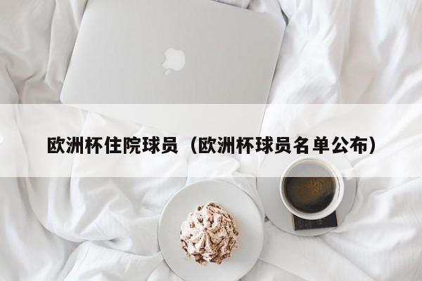 欧洲杯住院球员（欧洲杯球员名单公布）