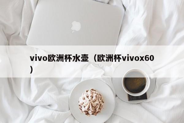 vivo欧洲杯水壶（欧洲杯vivox60）