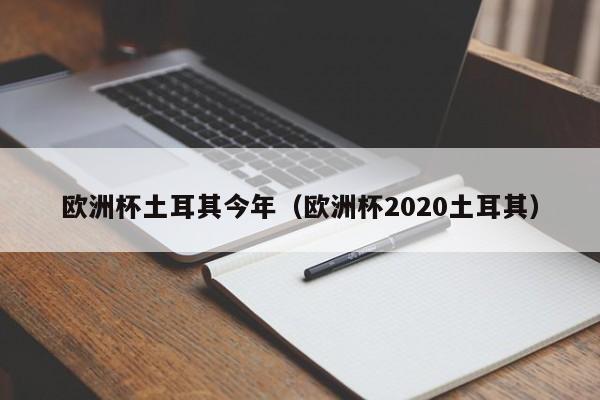 欧洲杯土耳其今年（欧洲杯2020土耳其）