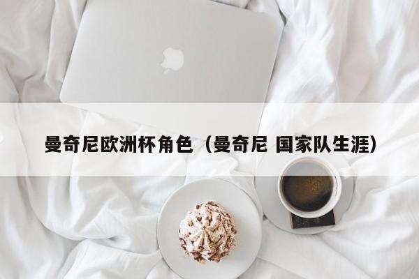 曼奇尼欧洲杯角色（曼奇尼 国家队生涯）