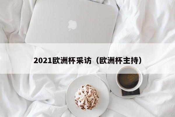 2021欧洲杯采访（欧洲杯主持）