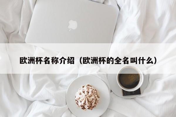 欧洲杯名称介绍（欧洲杯的全名叫什么）