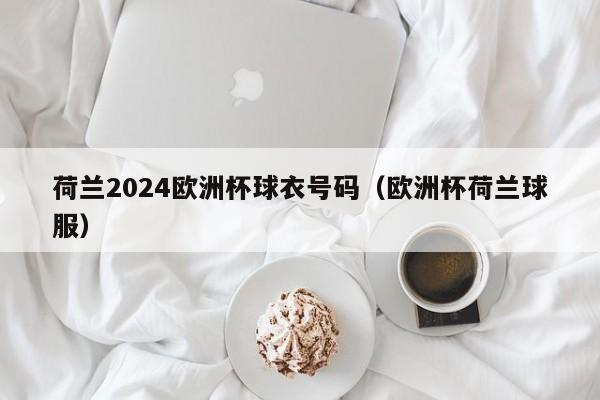 荷兰2024欧洲杯球衣号码（欧洲杯荷兰球服）