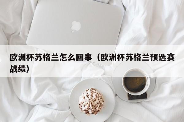 欧洲杯苏格兰怎么回事（欧洲杯苏格兰预选赛战绩）