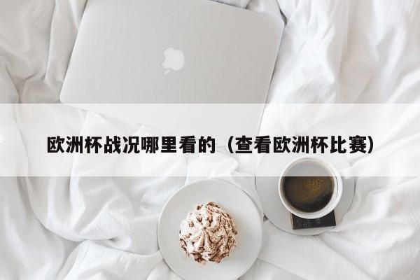 欧洲杯战况哪里看的（查看欧洲杯比赛）