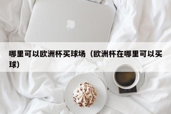 哪里可以欧洲杯买球场（欧洲杯在哪里可以买球）